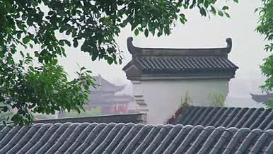 苏州园林和皇宫下雨拍打树叶局部建筑空景视频的预览图